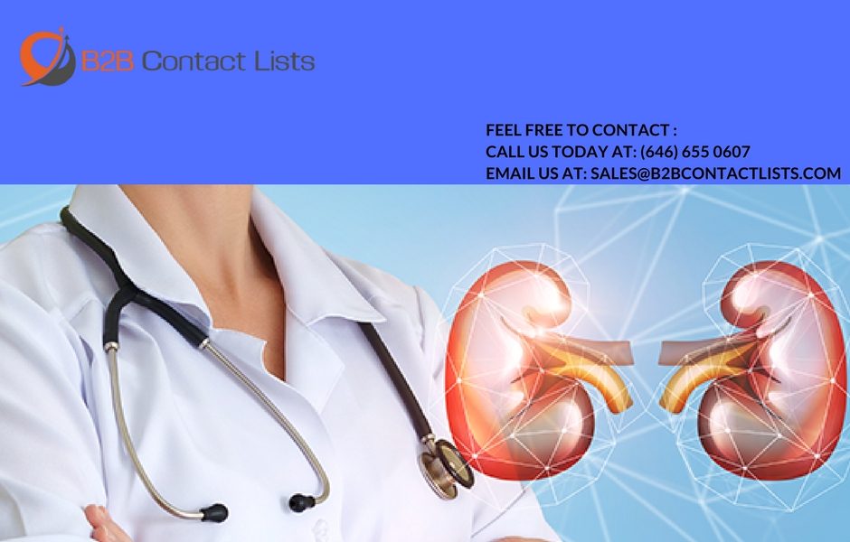 Nephrologists Email Lists | Nephrologists List
