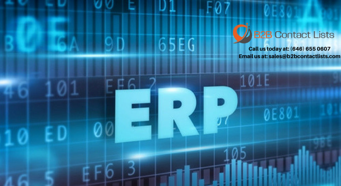 Articulate ERP Technology Executives Mailing List